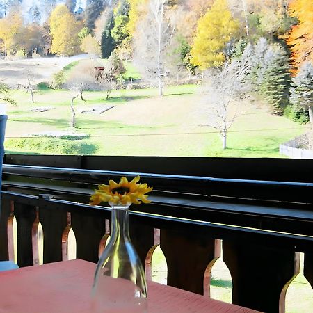 Apartament Haus Muehlgrund Bad Wildbad Zewnętrze zdjęcie
