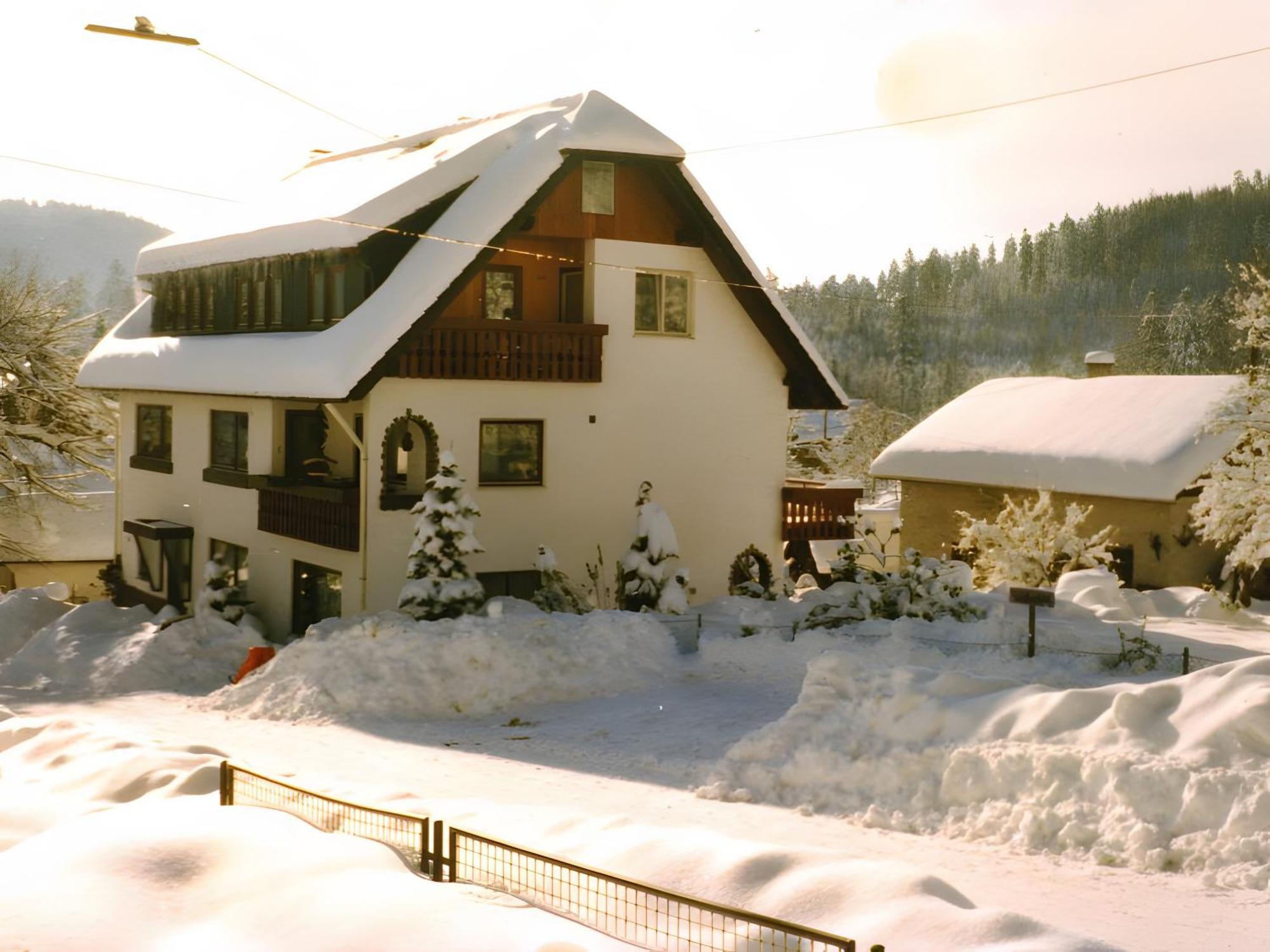 Apartament Haus Muehlgrund Bad Wildbad Zewnętrze zdjęcie
