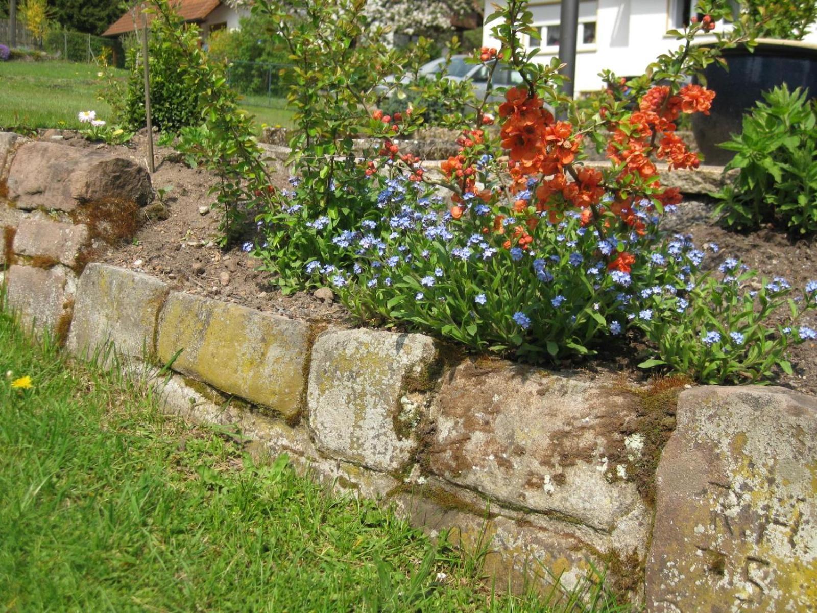 Apartament Haus Muehlgrund Bad Wildbad Zewnętrze zdjęcie