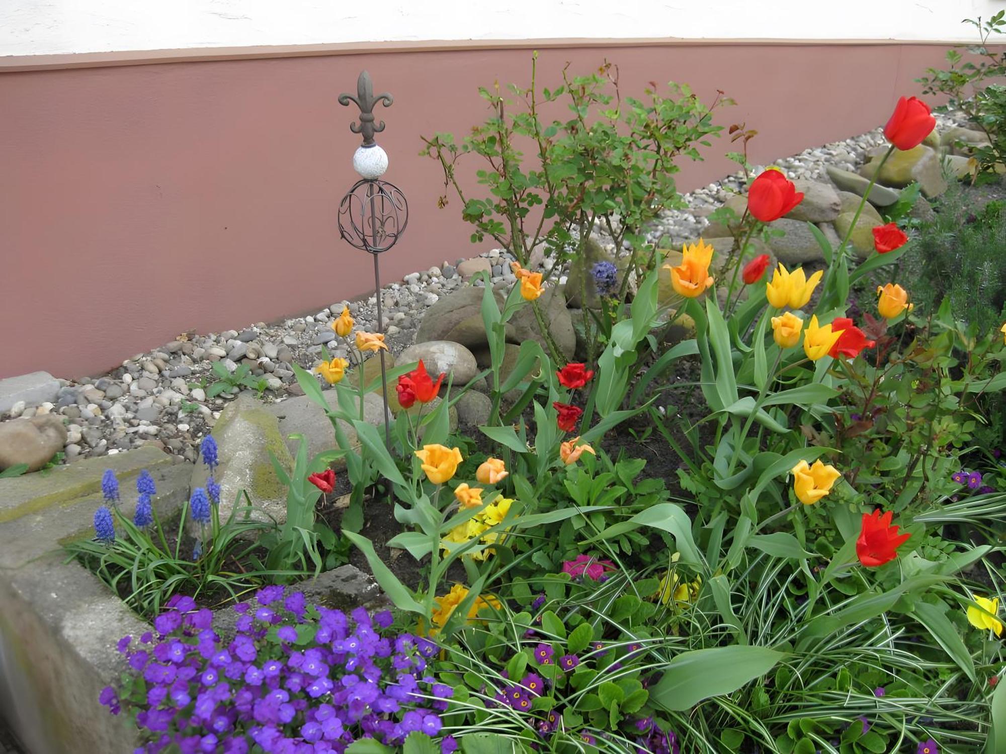 Apartament Haus Muehlgrund Bad Wildbad Zewnętrze zdjęcie