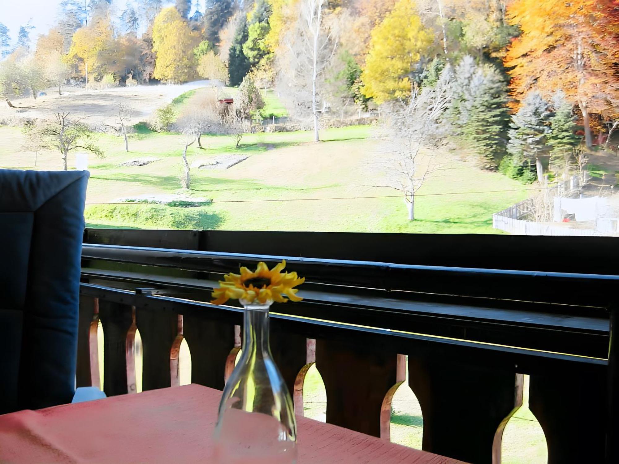 Apartament Haus Muehlgrund Bad Wildbad Zewnętrze zdjęcie