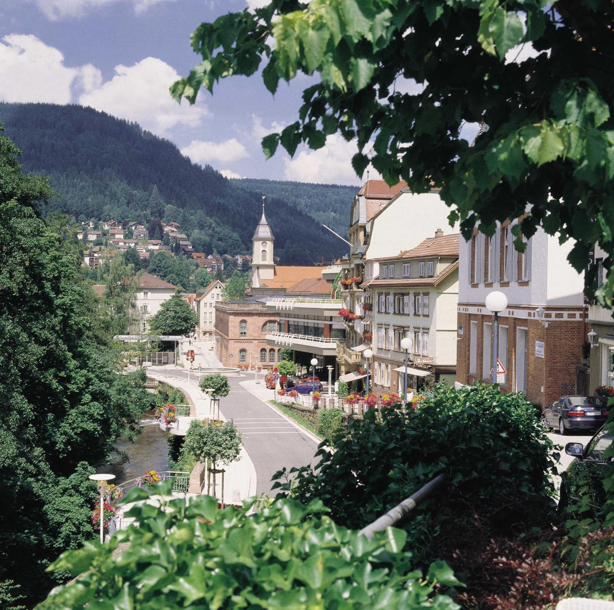 Apartament Haus Muehlgrund Bad Wildbad Zewnętrze zdjęcie